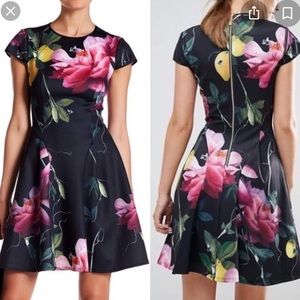 Ted Baker Dress